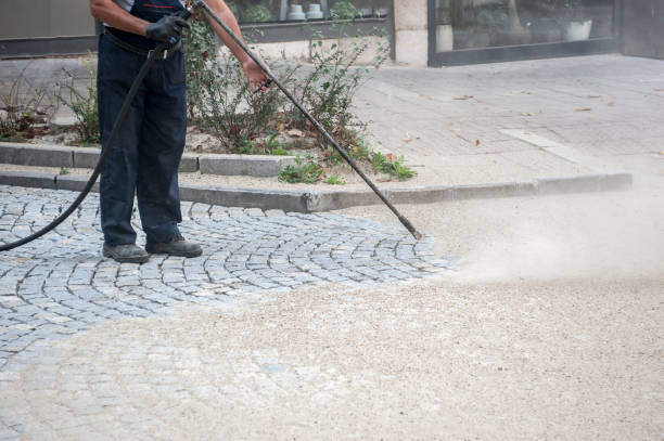 Best Gutter Cleaning  in Sherman, IL