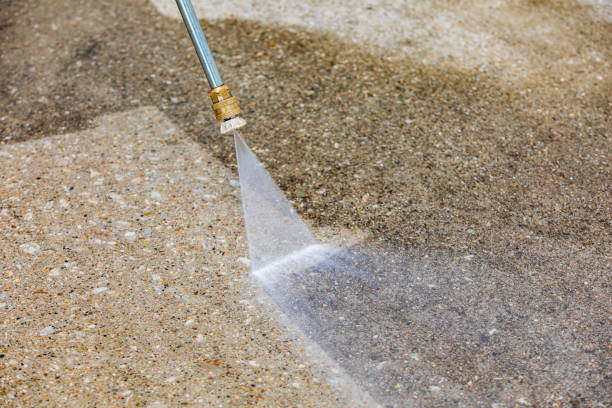 Best Animal Enclosure Cleaning  in Sherman, IL